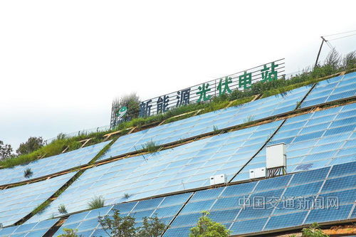 云南交投集團(tuán) 以新質(zhì)生產(chǎn)力賦能綠美通道經(jīng)濟(jì)，推動(dòng)種植技術(shù)開發(fā)創(chuàng)新