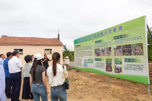 綠富雙贏 全市林下經(jīng)濟(jì)產(chǎn)業(yè)發(fā)展觀摩活動(dòng)暨種植技術(shù)開發(fā)新篇章