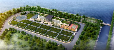 青島海水稻研發(fā)中心揭牌，首代稻種預(yù)計(jì)11月問世，技術(shù)開發(fā)引領(lǐng)農(nóng)業(yè)新篇章